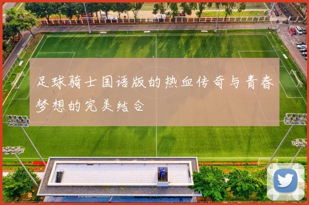足球骑士国语版的热血传奇与青春梦想的完美结合